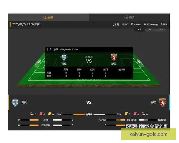 都灵阵容深度分析：球队竞争力增强，关键球员表现稳健